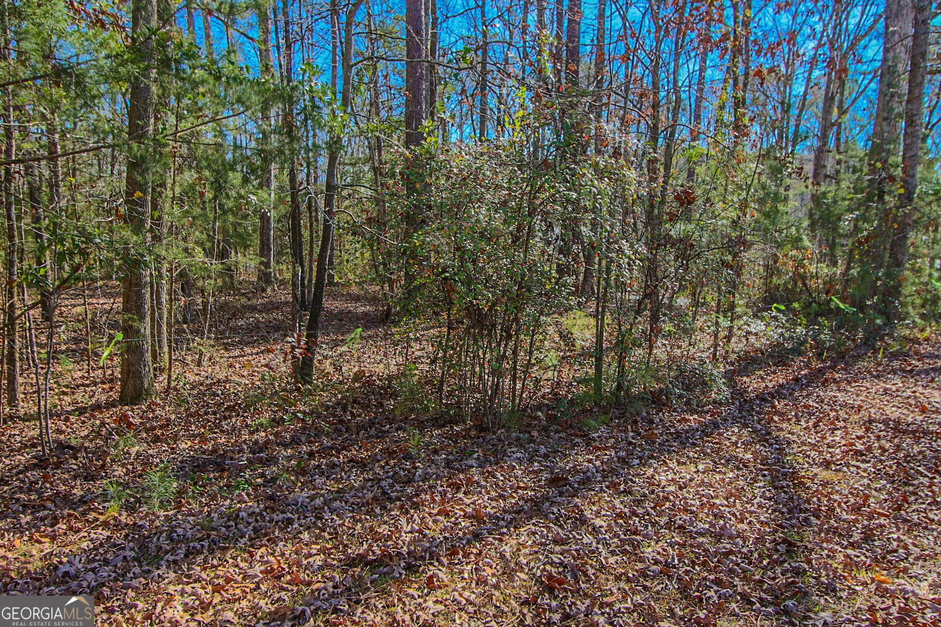 0 Haley Road Jackson, GA 30233 - Photo 6 of 18