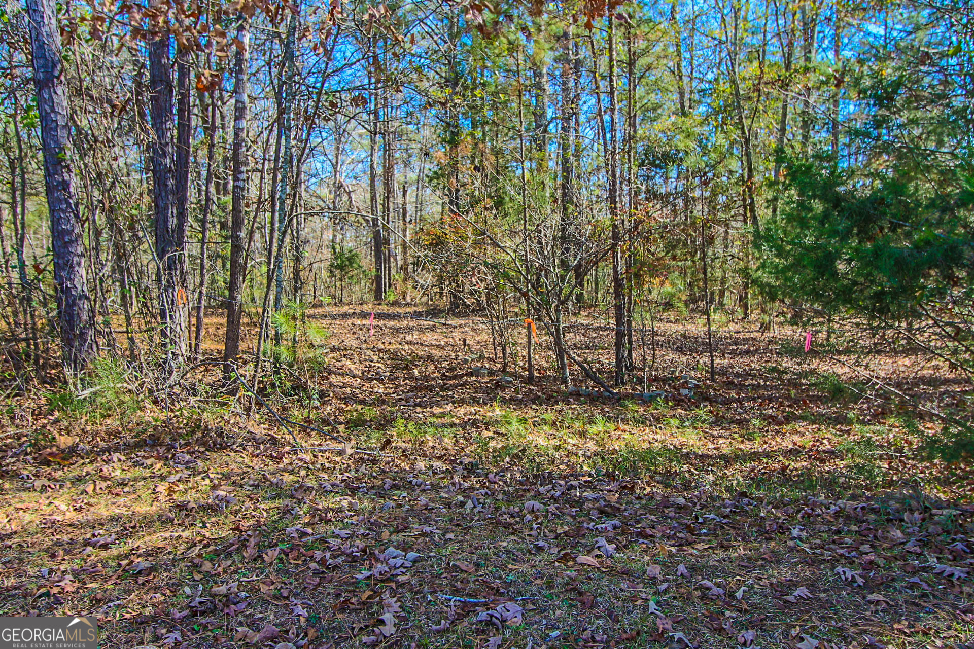 0 Haley Road Jackson, GA 30233 - Photo 7 of 18