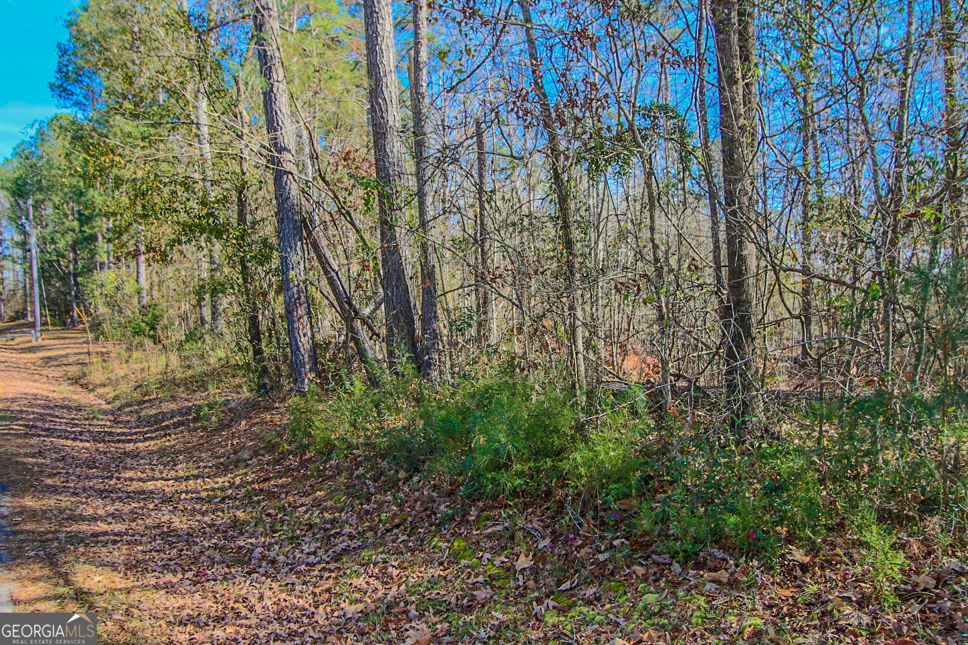 0 Haley Road Jackson, GA 30233 - Photo 8 of 18