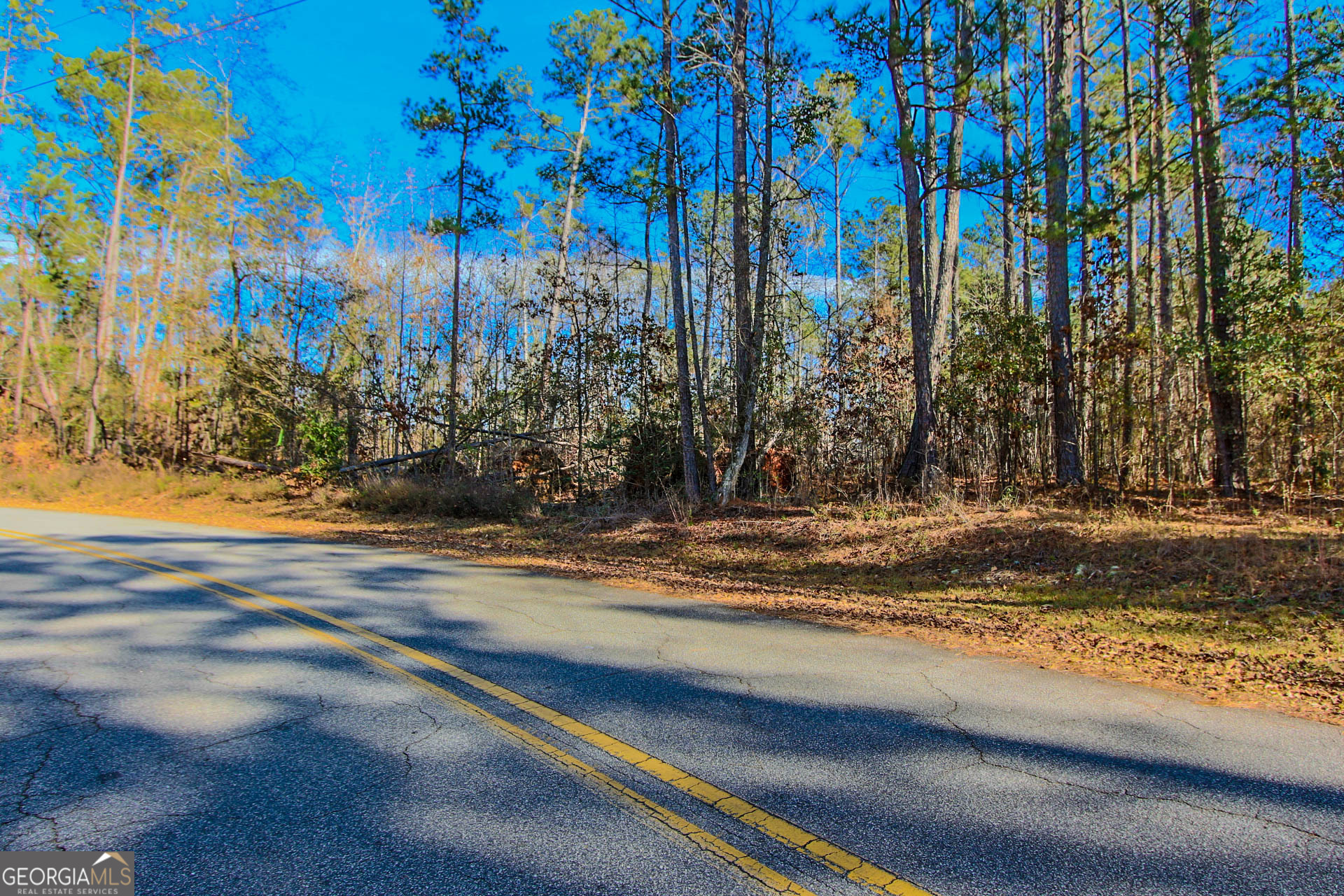 0 Haley Road Jackson, GA 30233 - Photo 10 of 18
