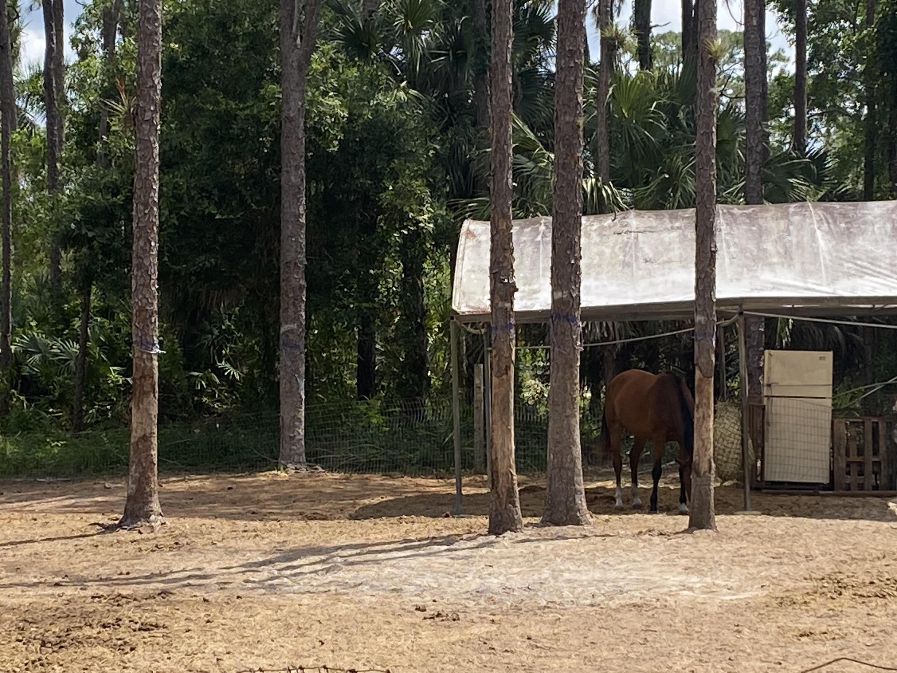 1557 E Road Loxahatchee Groves, FL 33470 - Photo 2 of 6 Jose2