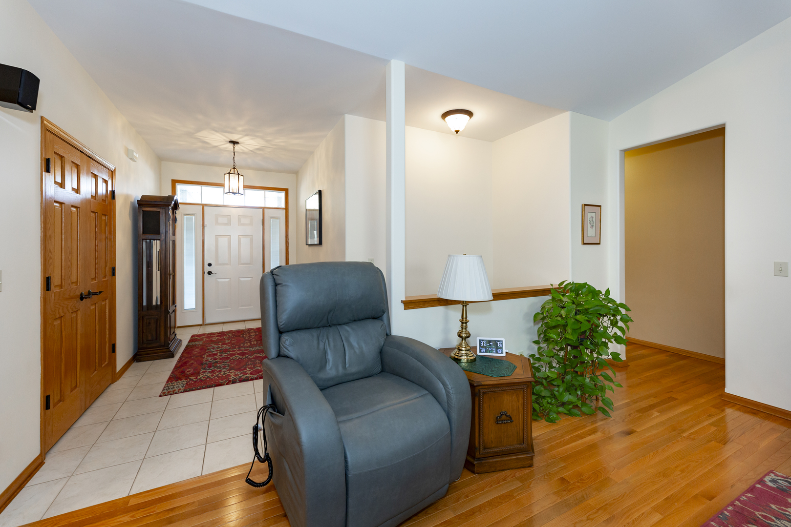 311 Stearn Drive Genoa, IL 60135 - Photo 11 of 48 a living room with furniture and a potted plant