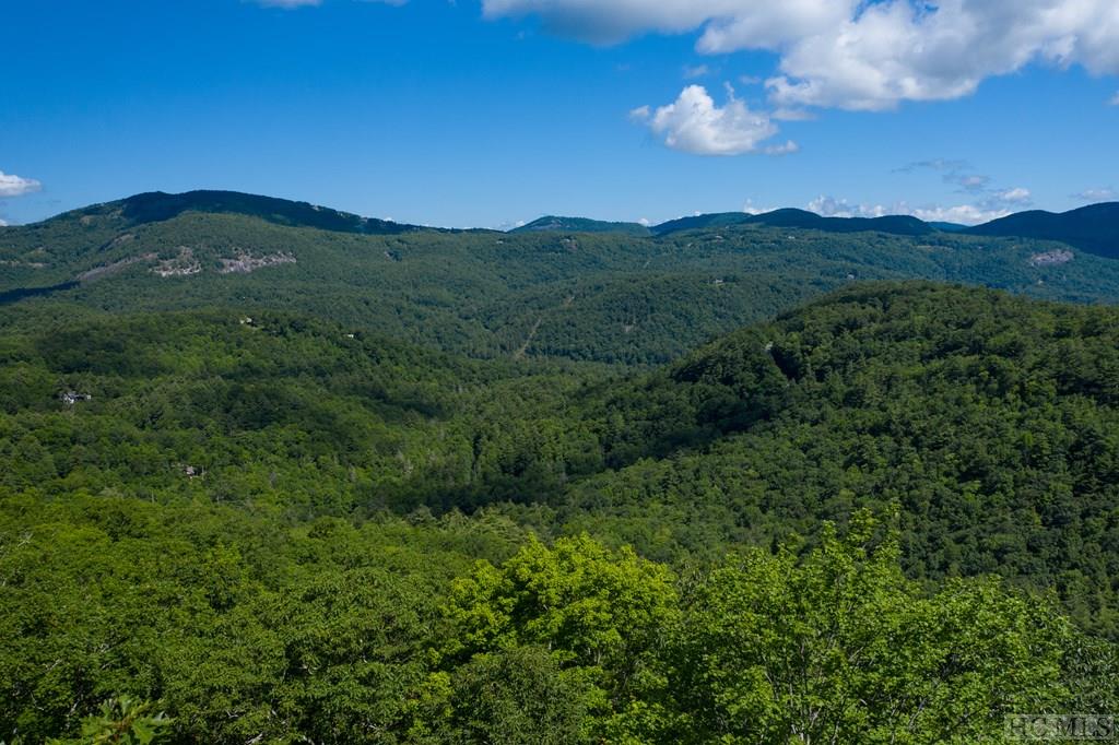 Lot 8 East Ridge Road Cashiers, NC 28717 - Photo 15 of 21 Gallery Image 15