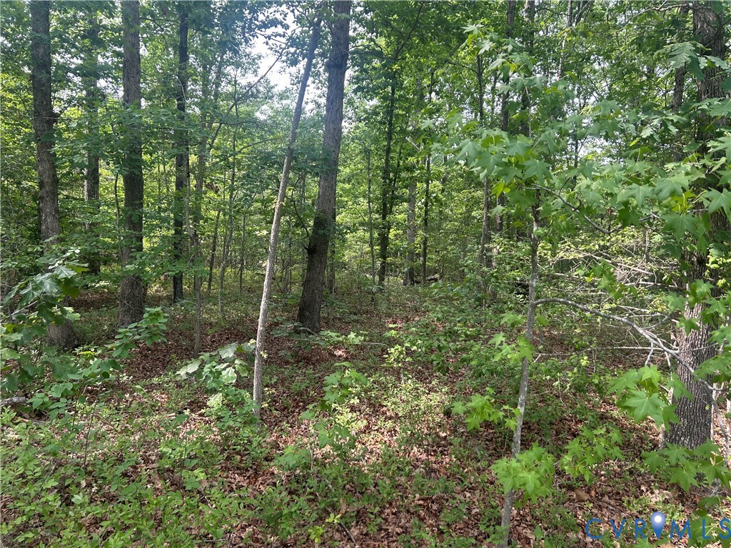 Tbd Jones Farm Road Montpelier, VA 23192 - Photo 5 of 6