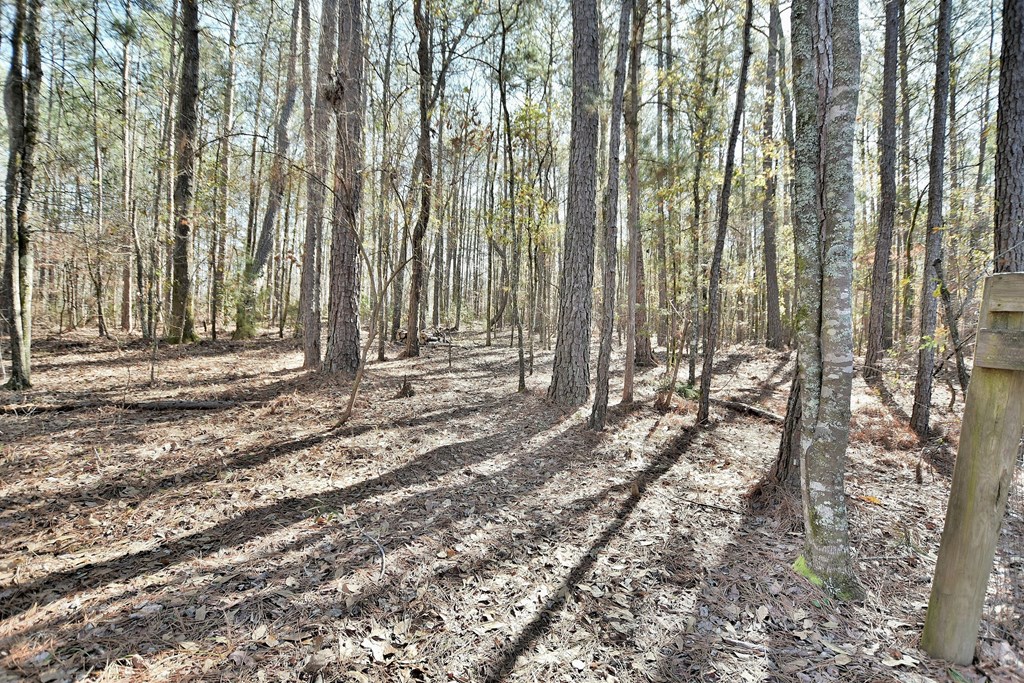 1730 Hadley Road Pine Mountain, GA 31822 - Photo 37 of 43 Perfectly private 5.48 Acre Setting