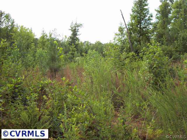 0 Forksville Road La Crosse, VA 23950 - Photo 5 of 9 Other