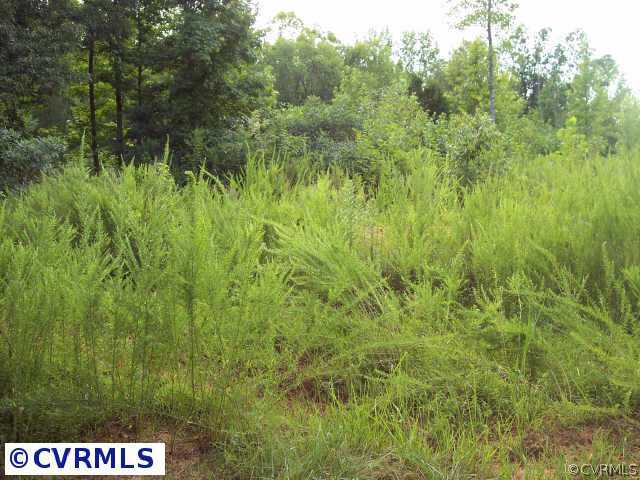 0 Forksville Road La Crosse, VA 23950 - Photo 8 of 9 Other