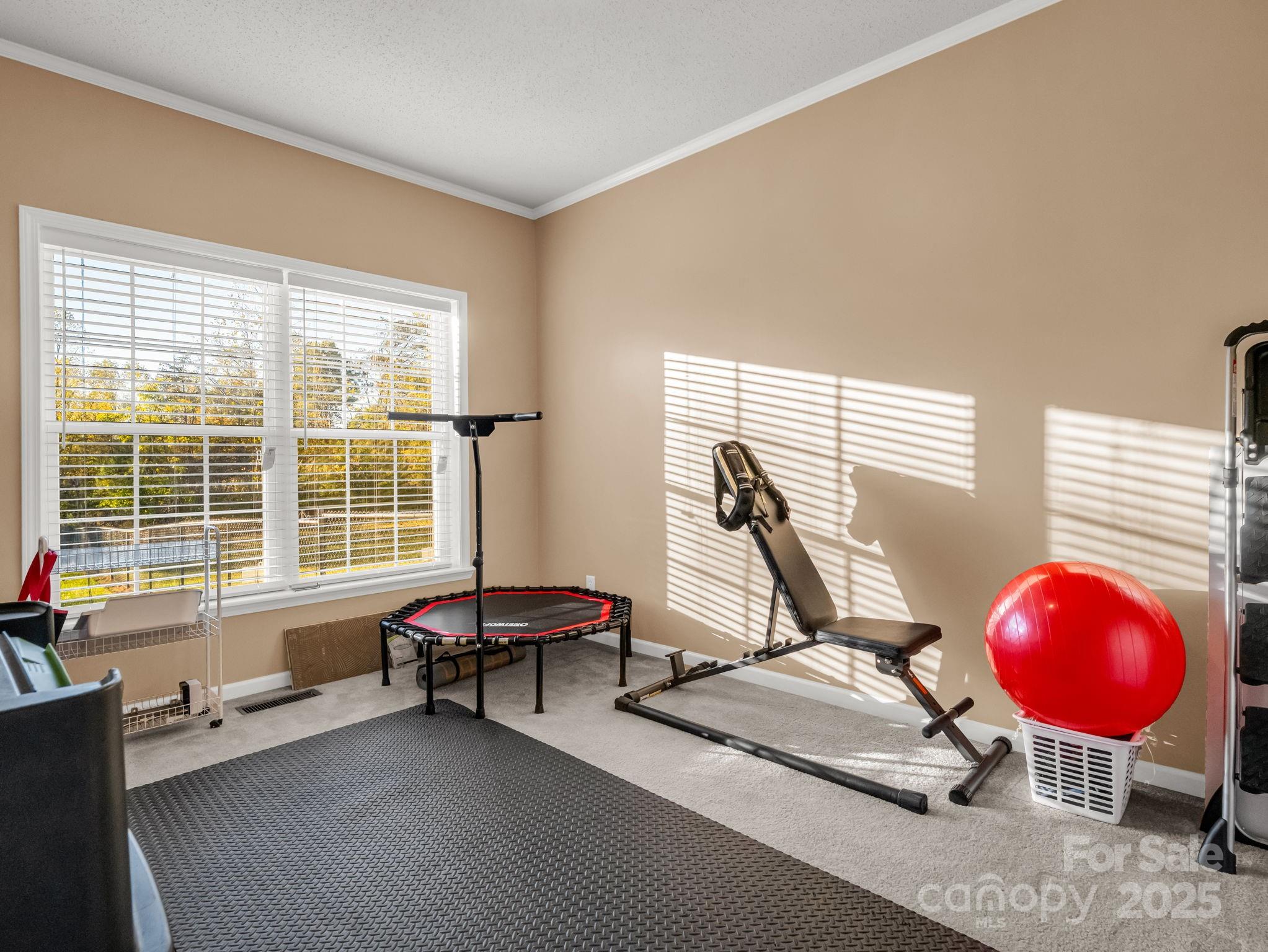 435 Brooks Road Bostic, NC 28018 - Photo 25 of 41 a view of a room with gym equipment