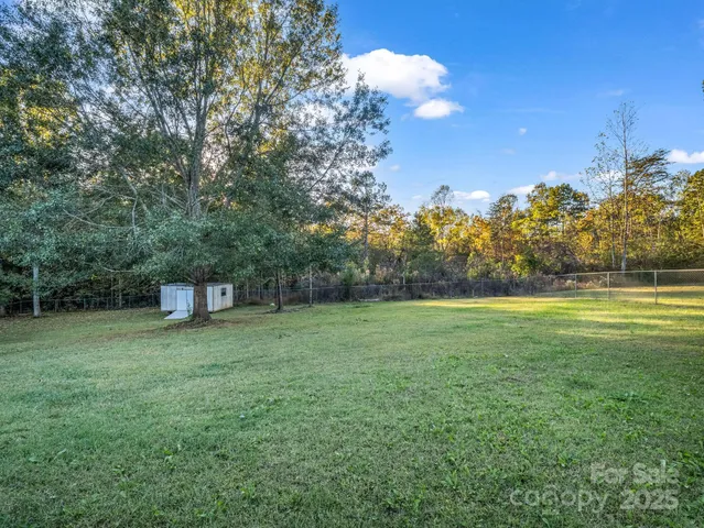 a view of a field of grass and trees