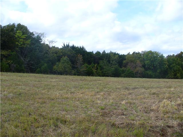 6 Beasleys Bend Road Lebanon, TN 37087 - Photo 2 of 4