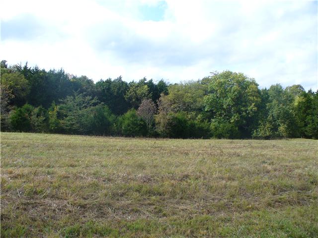 6 Beasleys Bend Road Lebanon, TN 37087 - Photo 3 of 4