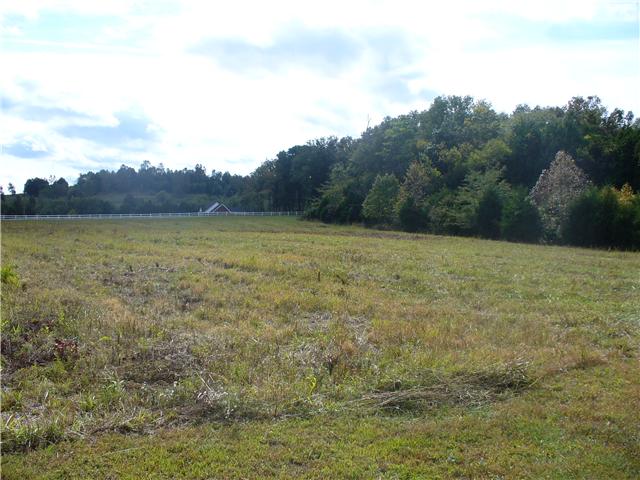 6 Beasleys Bend Road Lebanon, TN 37087 - Photo 4 of 4