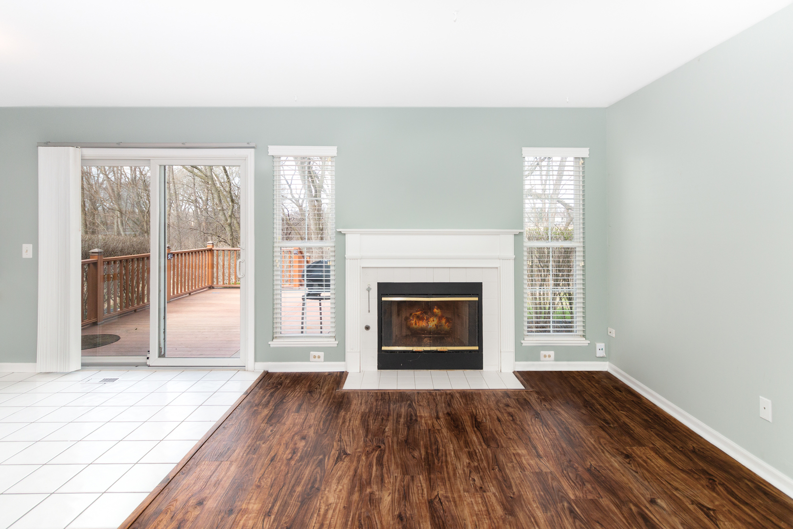 1176 Coldspring Road Elgin, IL 60120 - Photo 9 of 24 an empty room with wooden floor fireplace and windows