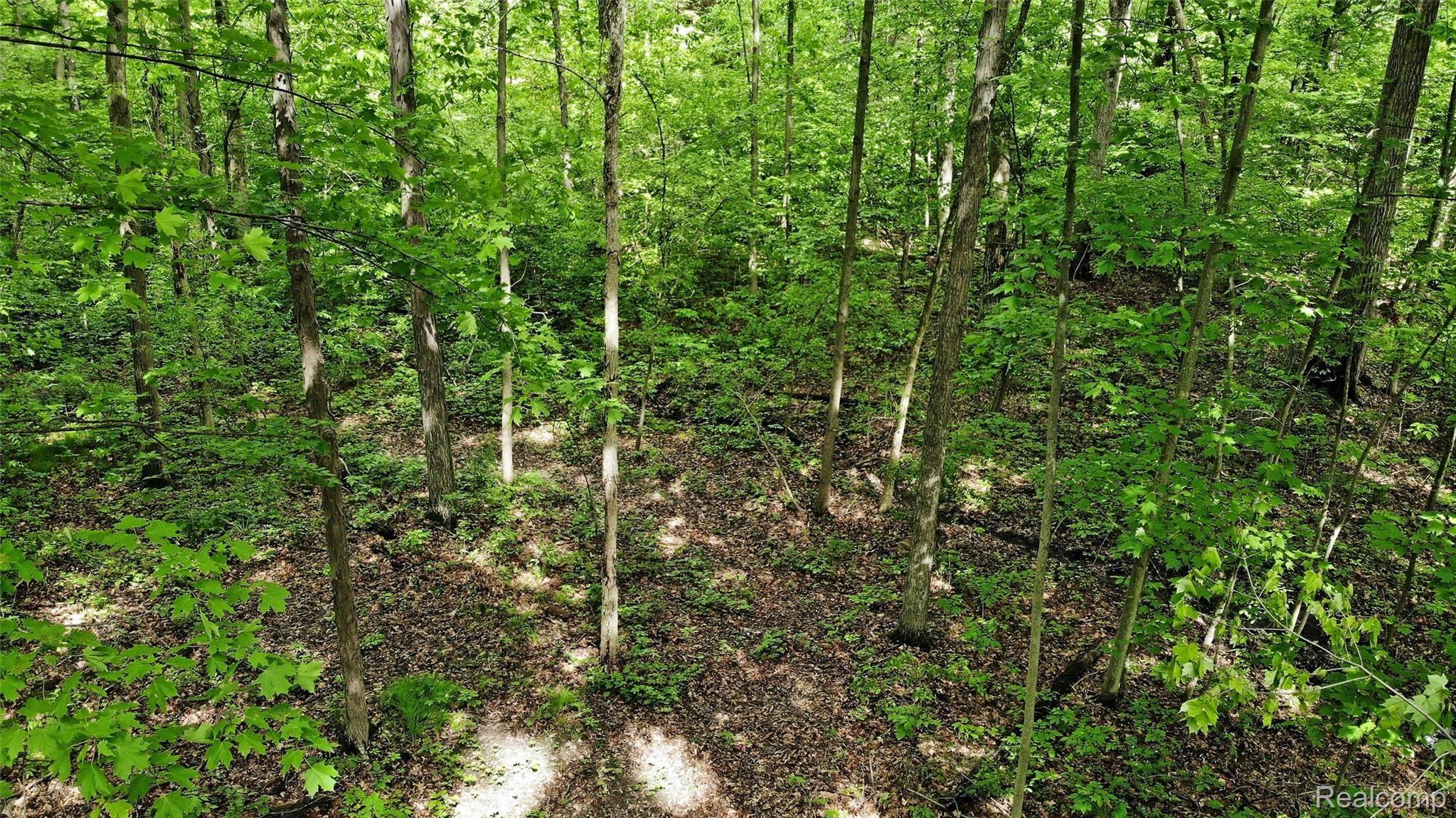 310 North Van Road Holly, MI 48442 - Photo 58 of 75 57) Aerial Trails.jpg