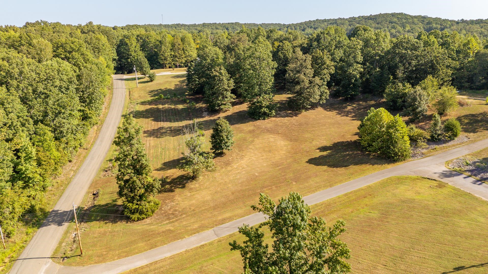 880 Double Springs Loop Savannah, TN 38372 - Photo 38 of 40 a view of a yard with a trees