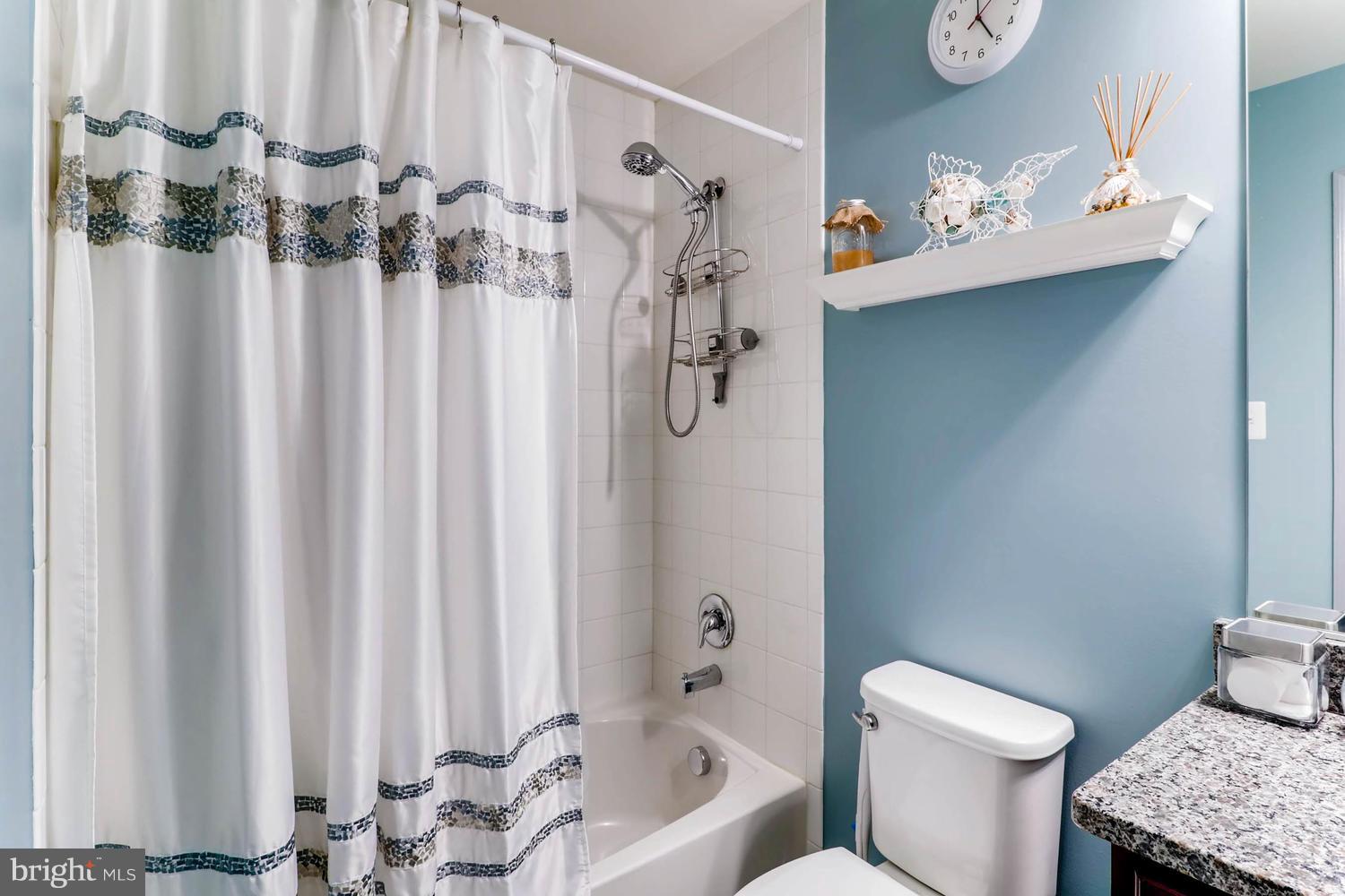 10521 Braddock Run Road Baltimore, MD 21220 - Photo 22 of 30 Bath (Master)