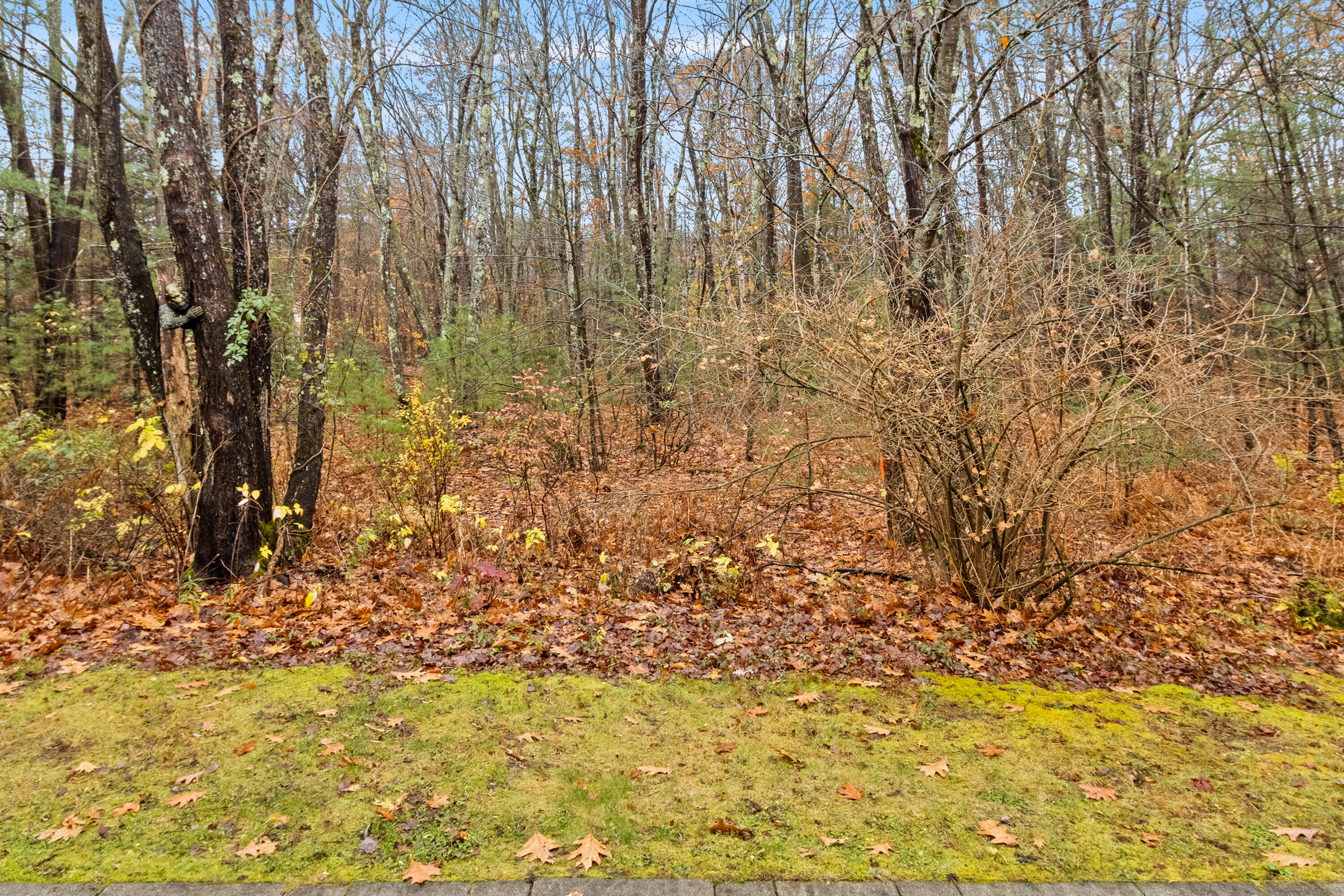 29 Old Orchard Road, Unit 10 Saco, ME 04072 - Photo 49 of 49 20251110TR-71049