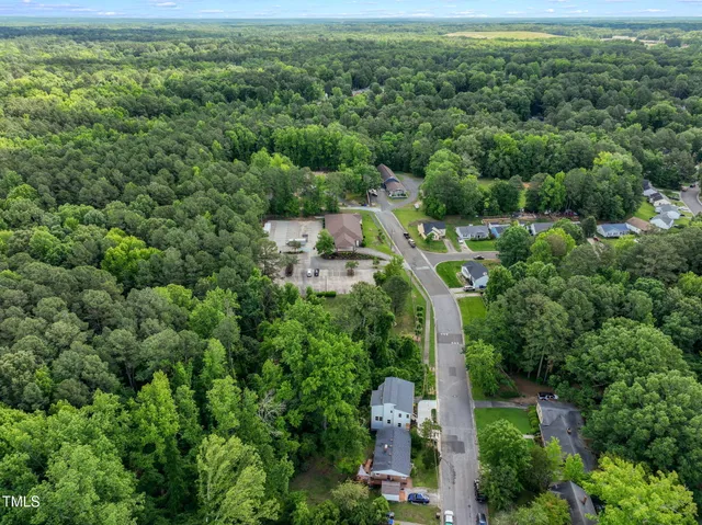 a view of a green field with lots of bushes