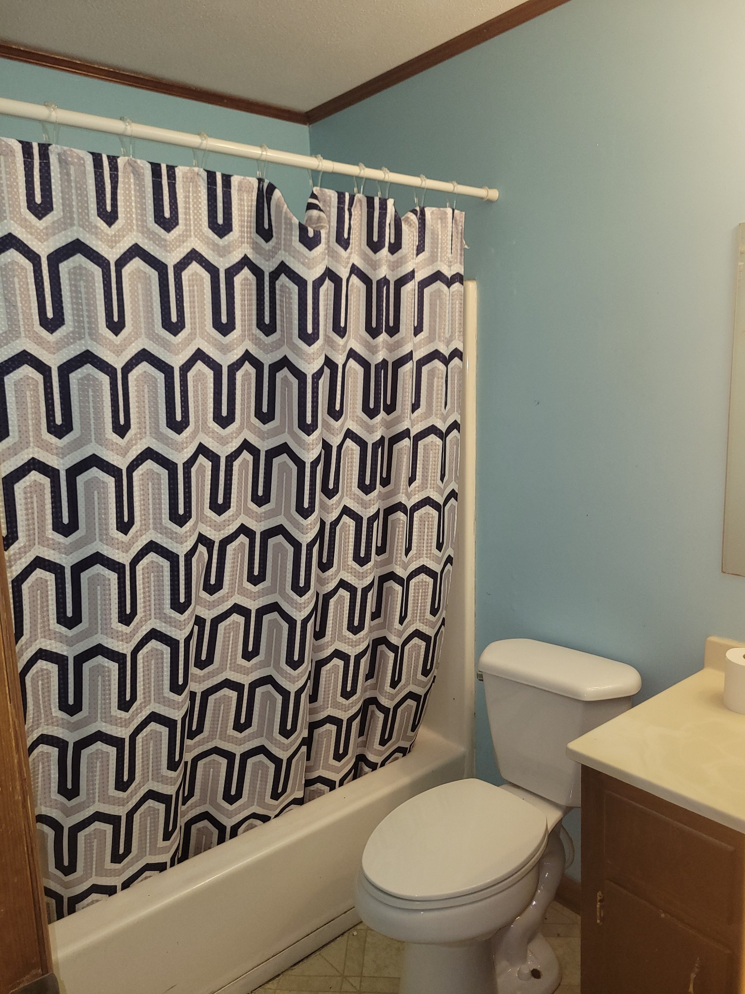 171 Trinity Lane Pulaski, TN 38478 - Photo 11 of 16 a white toilet sitting next to a shower curtain