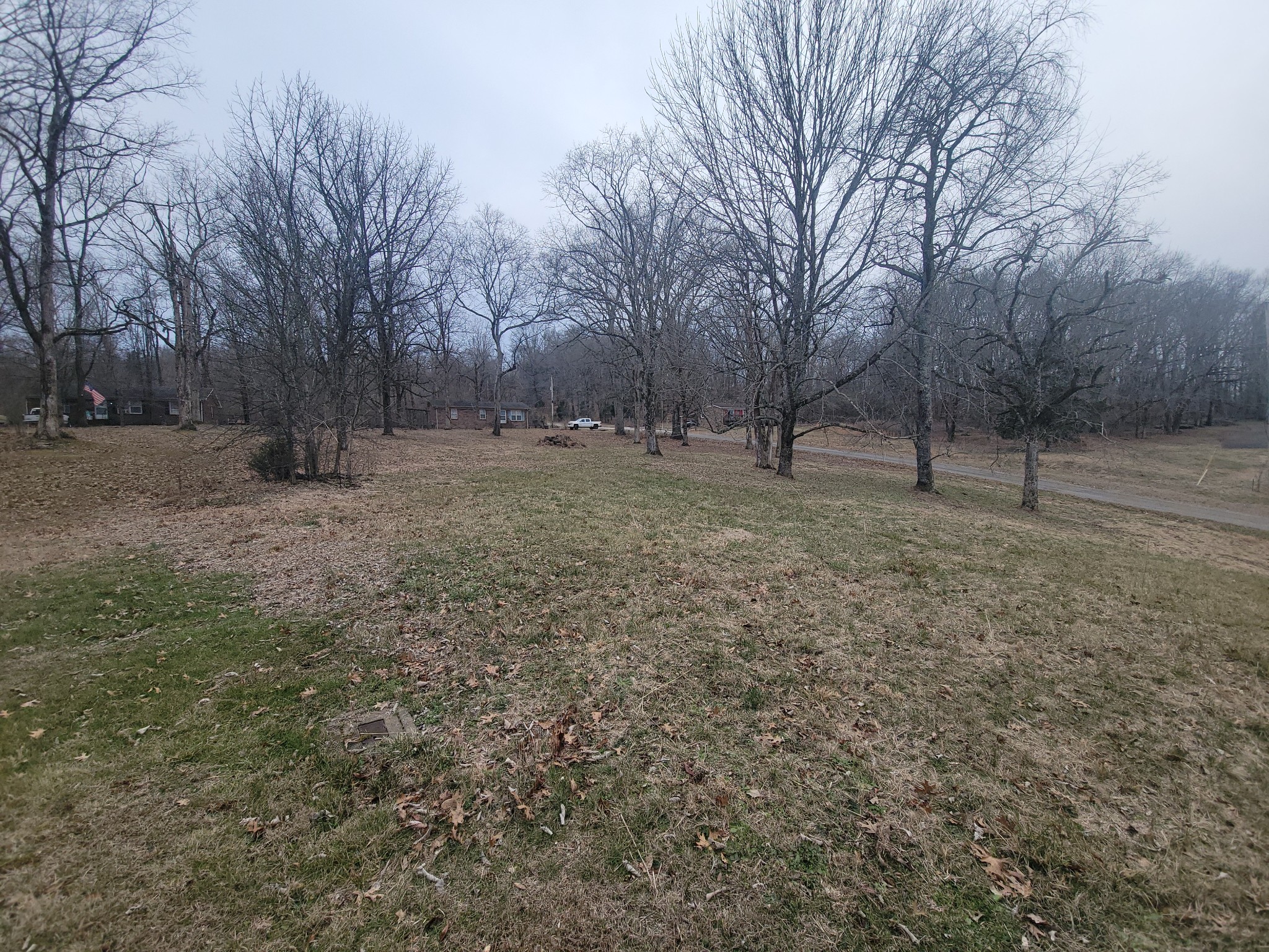 171 Trinity Lane Pulaski, TN 38478 - Photo 3 of 16 a view of a yard with a tree