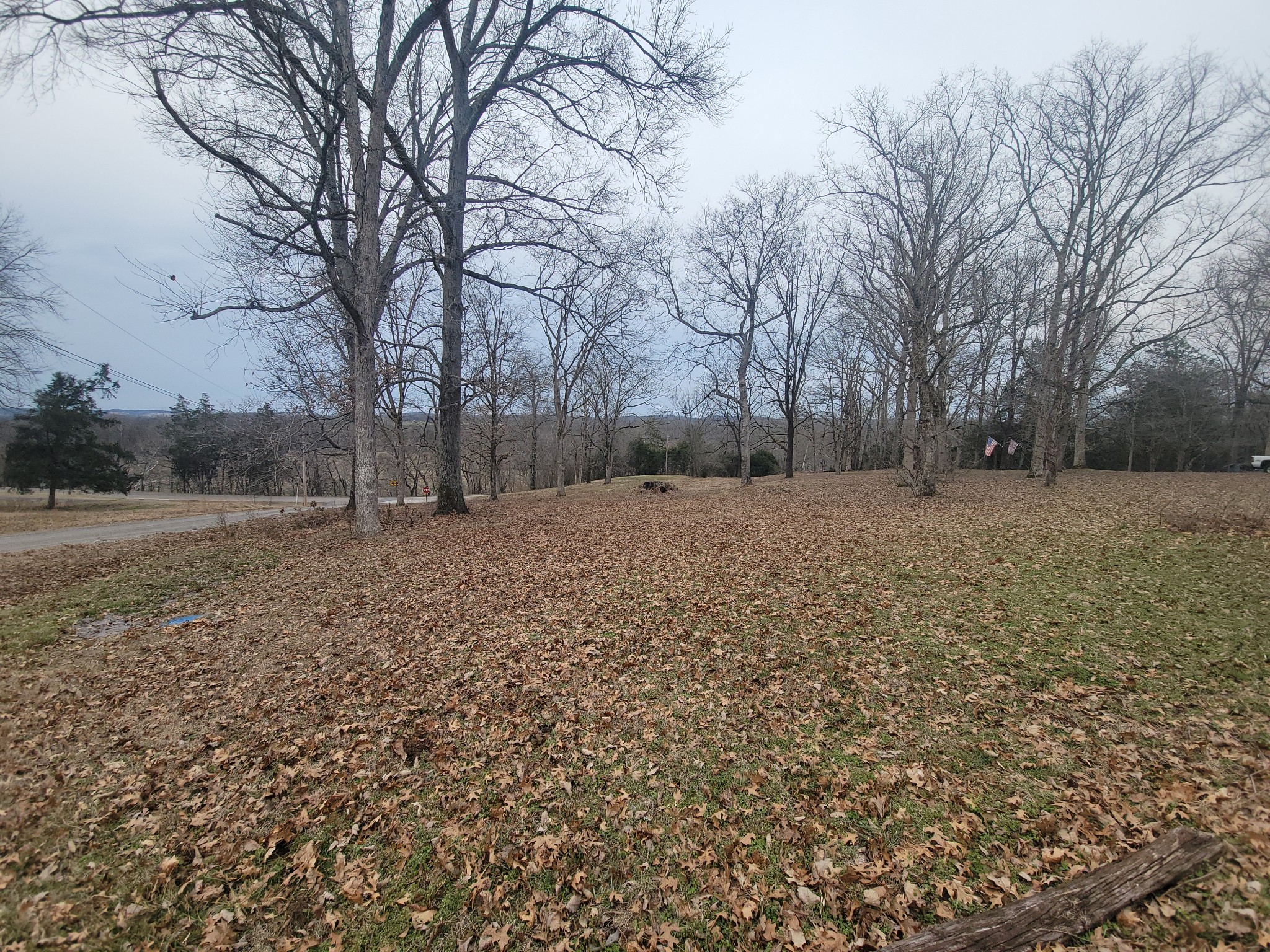 171 Trinity Lane Pulaski, TN 38478 - Photo 4 of 16 a backyard of a house with large trees