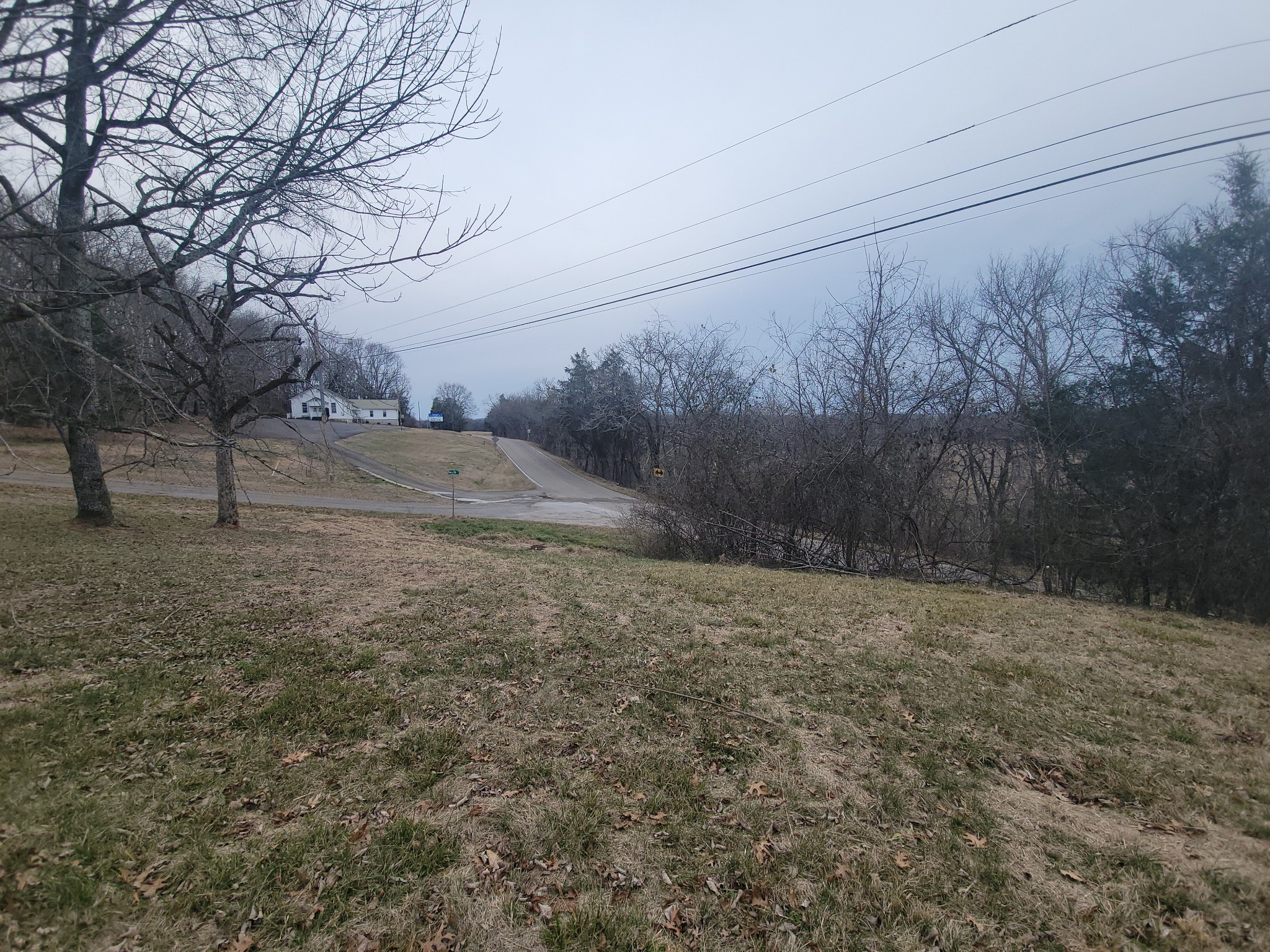 171 Trinity Lane Pulaski, TN 38478 - Photo 5 of 16 a view of dirt yard with large trees