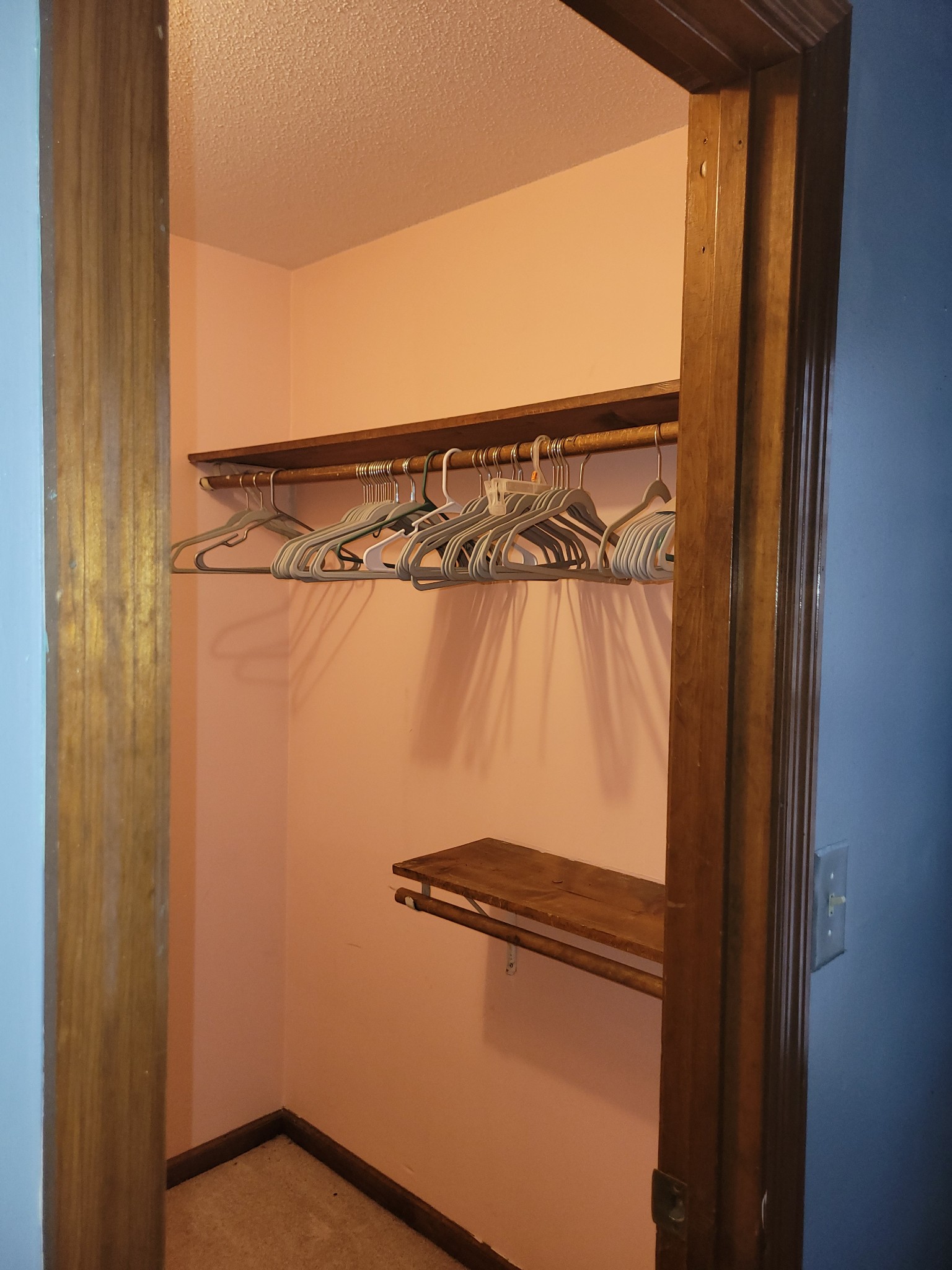 171 Trinity Lane Pulaski, TN 38478 - Photo 10 of 16 a view of a walk in closet