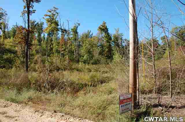 0 Danville Crossing Road Big Sandy, TN 38221 - Photo 1 of 1 Photo 1