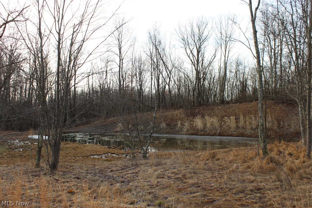 74050 Henderson Ridge Road Cadiz, OH 43907 - Photo 33 of 34 Gallery Image 33