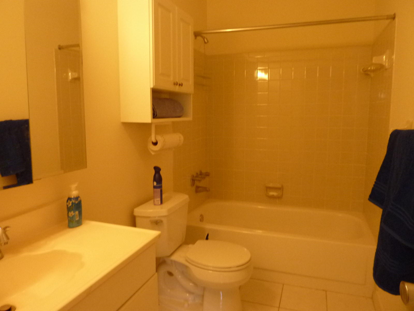 19467 Colorado Circle Boca Raton, FL 33434 - Photo 11 of 13 P1030593