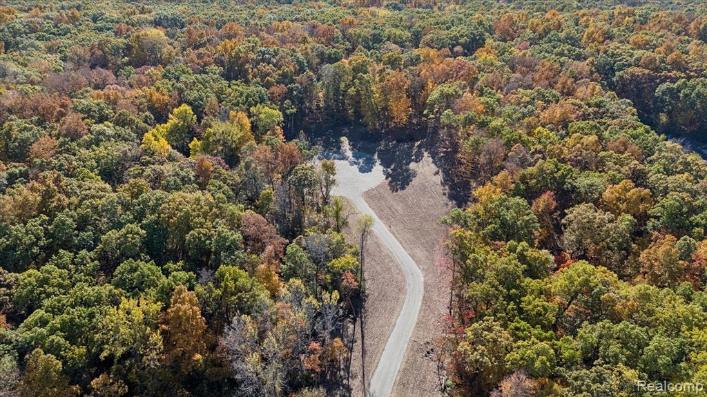 3 East Coon Lake Road Howell, MI 48843 - Photo 4 of 9