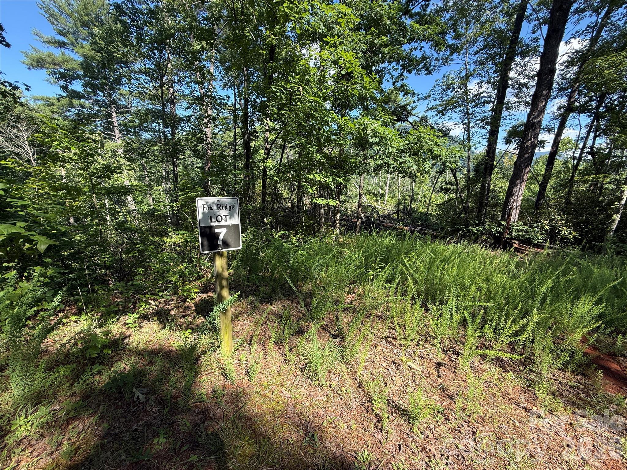 999 Fox Rdg Trail, Unit 7 Marion, NC 28752 - Photo 2 of 13