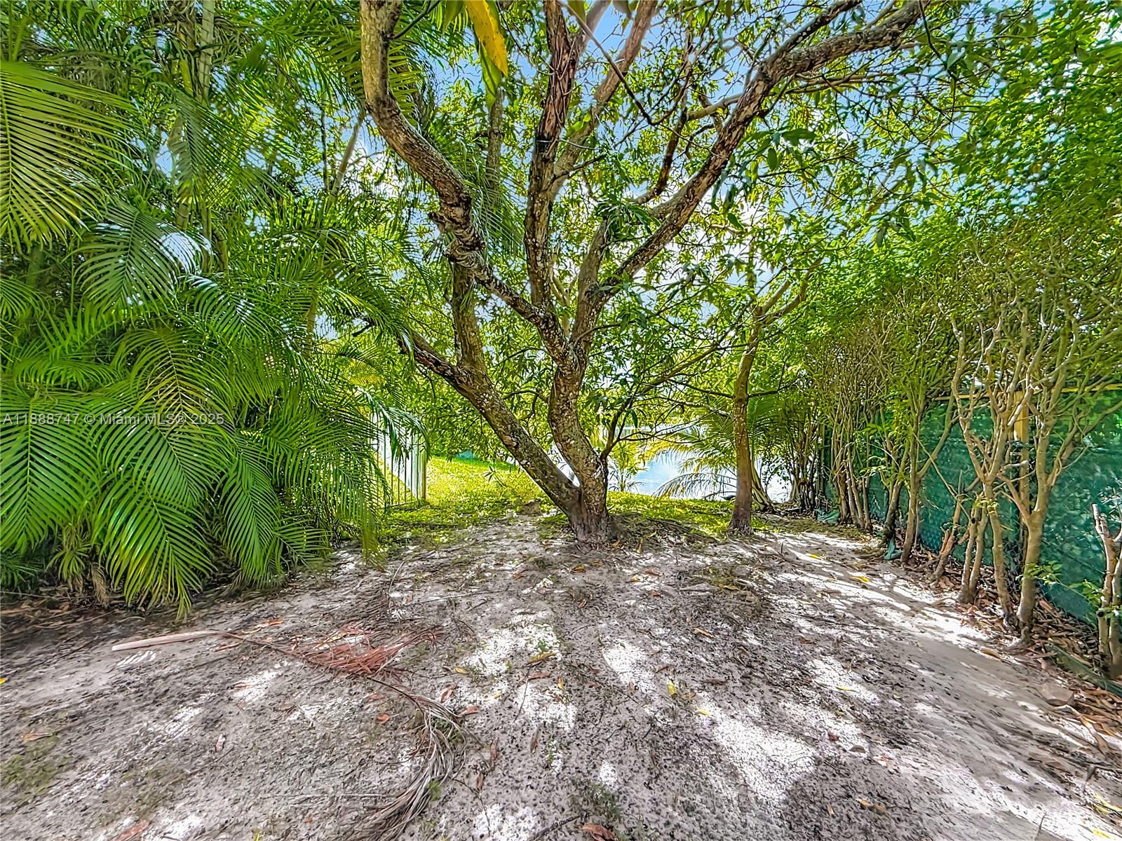 5317 Southwest 133rd Avenue Miramar, FL 33027 - Photo 34 of 38 a view of a yard with lots of trees