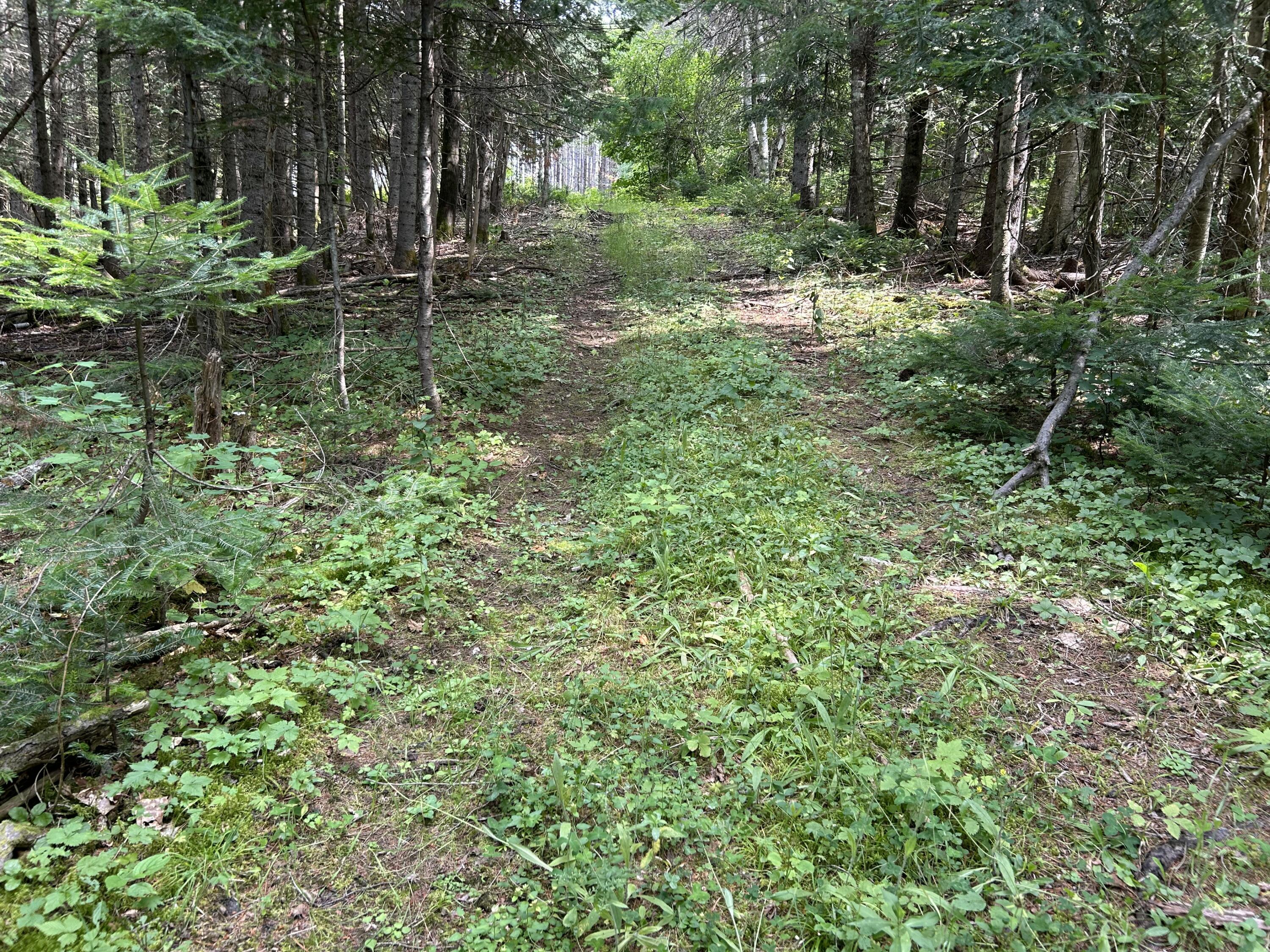 272 E Road New Sweden, ME 04762 - Photo 34 of 41 IMG_9743