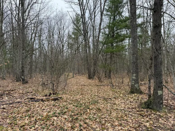 $189,900 | 14995 River Road, Brethren, MI 49619