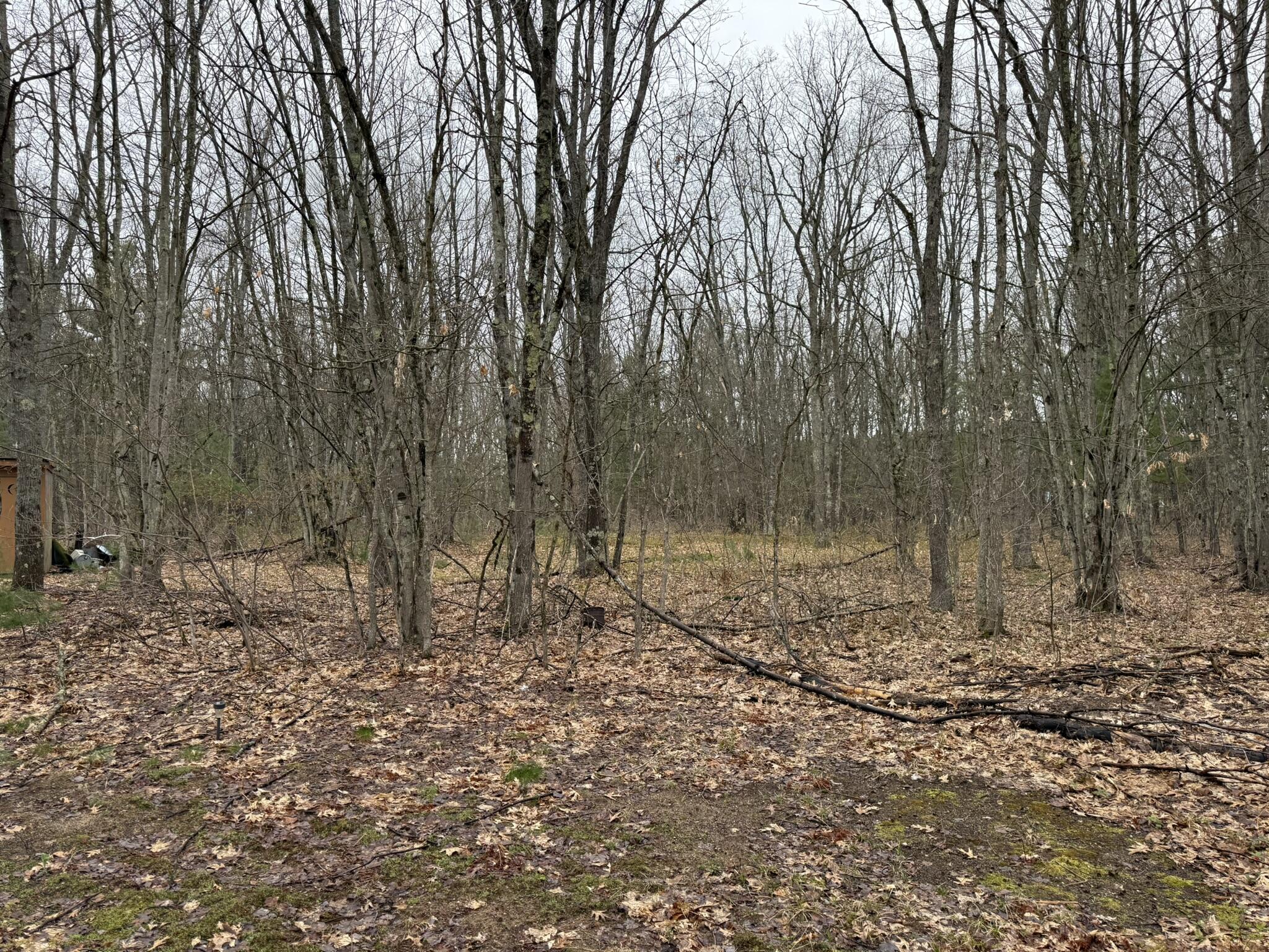 14995 River Road Brethren, MI 49619 - Photo 16 of 16 IMG_6420