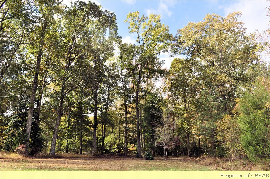 Lot 35 Chapel Neck Road North, VA 23128 - Photo 6 of 9 Gallery Image 6