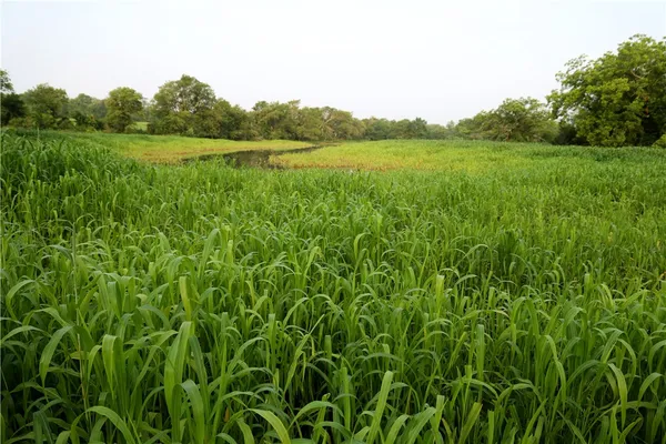 $3,219,150 | 1298 Highway 7, Eddy, TX 76524