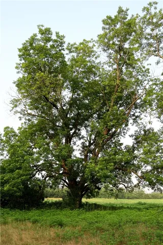 $3,219,150 | 1298 Highway 7, Eddy, TX 76524