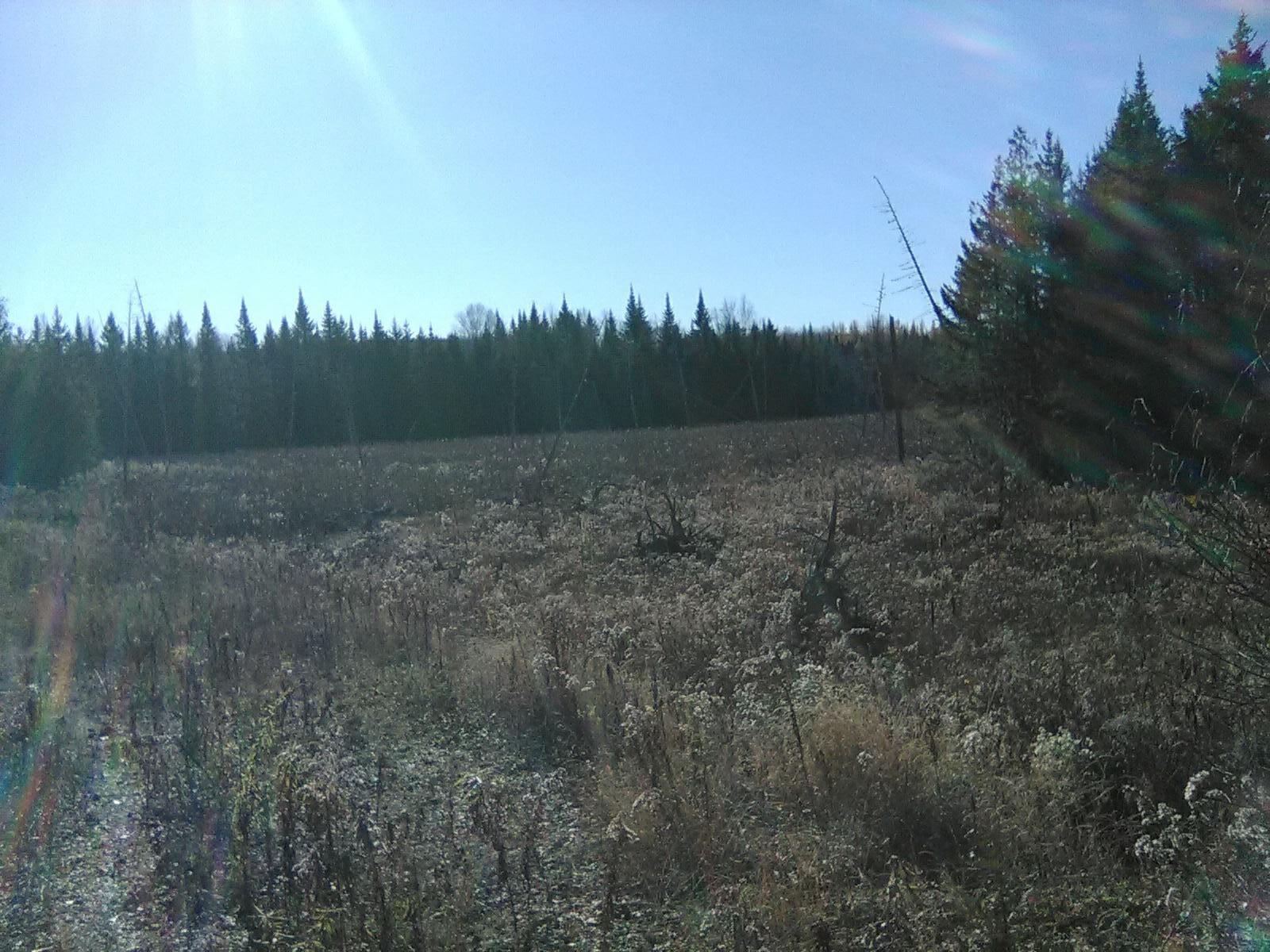 913 Skedgell Road Orient, ME 04471 - Photo 14 of 19