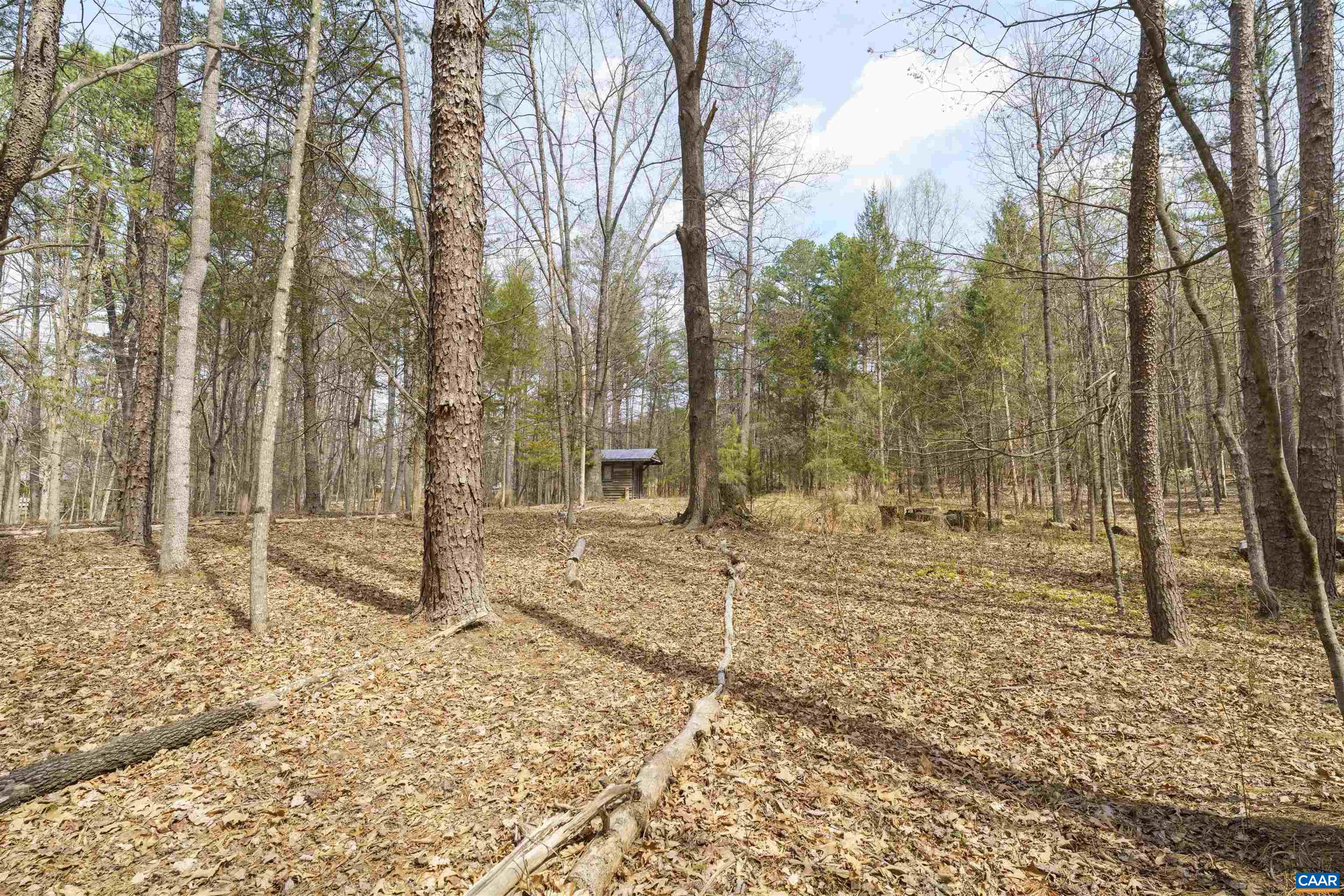 5695 Free Union Road Free Union, VA 22940 - Photo 54 of 68 Gallery Image 54