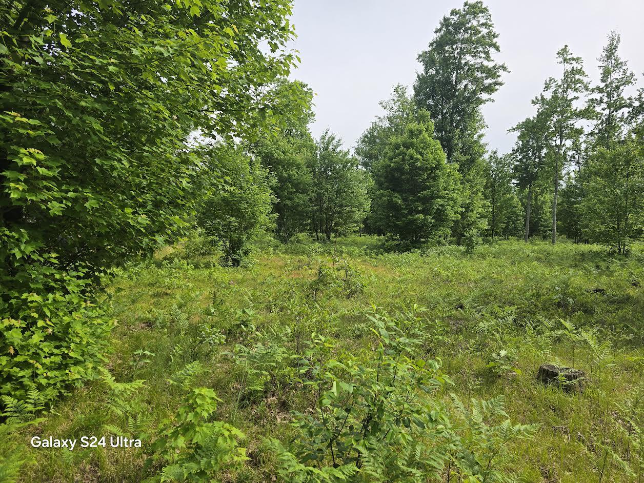 4749 West 9 Mile Road Irons, MI 49644 - Photo 3 of 4 Mats