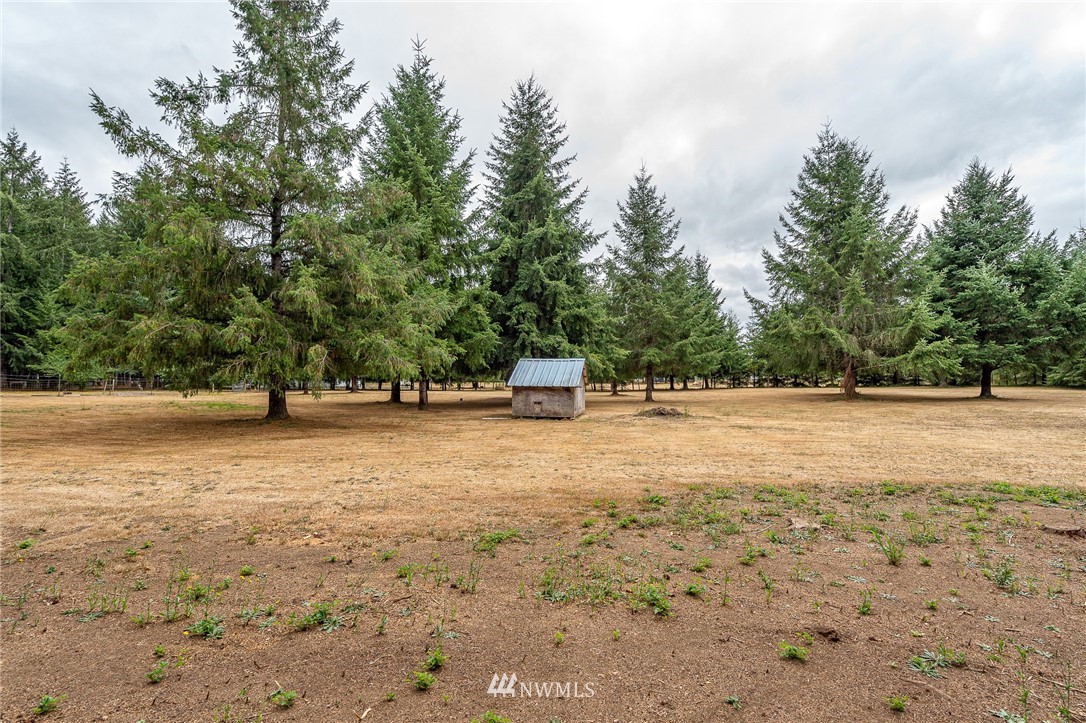 129 North Prairie Road Napavine, WA 98532 - Photo 26 of 39