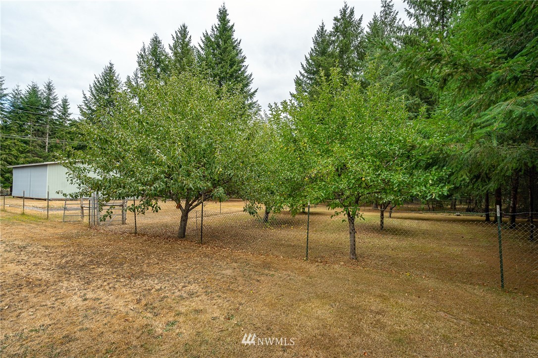 129 North Prairie Road Napavine, WA 98532 - Photo 29 of 39