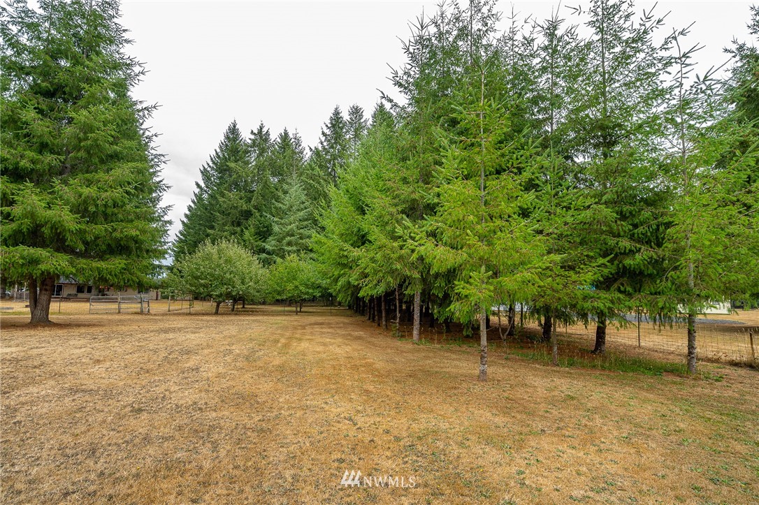 129 North Prairie Road Napavine, WA 98532 - Photo 38 of 39
