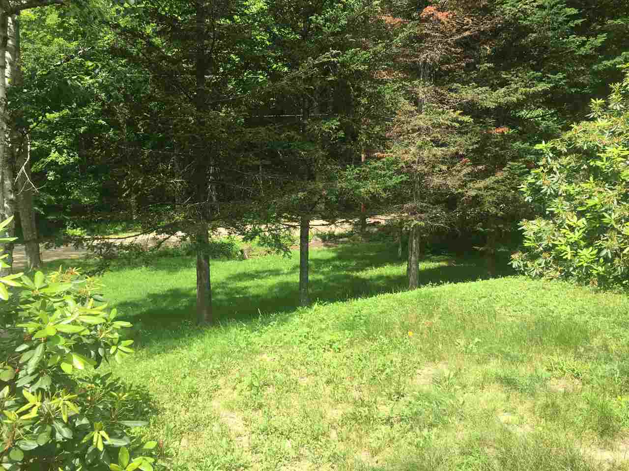 44 Doetown Road Ellsworth, NH 03266 - Photo 8 of 24 Gallery Image 8