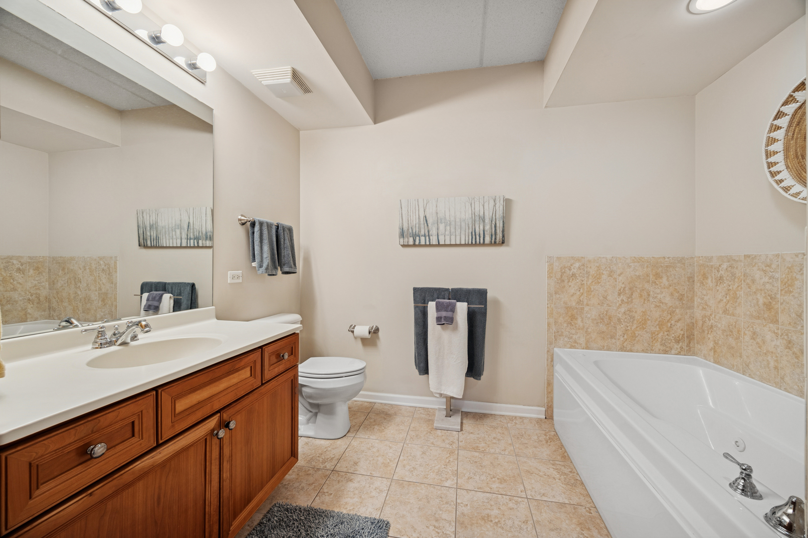 500 East St Charles Road, Unit 209 Lombard, IL 60148 - Photo 13 of 21 a bathroom with a sink a toilet and bathtub