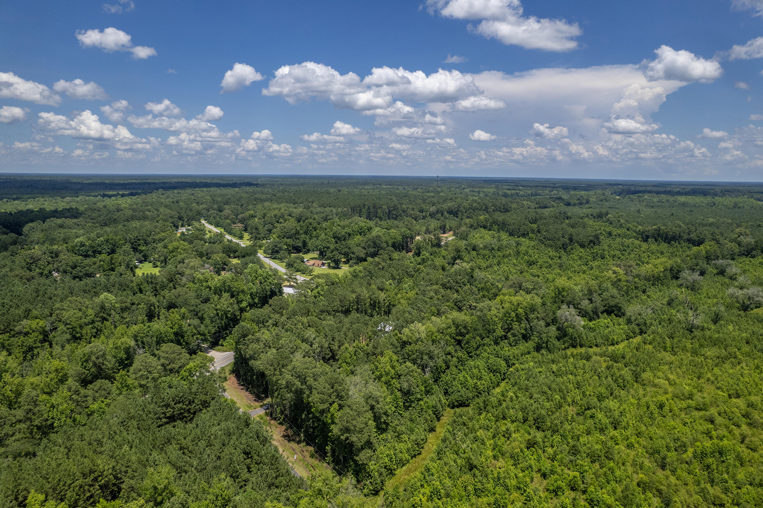 47 Burr Hill Road Cottageville, SC 29435 - Photo 16 of 38 Zyndicate1741