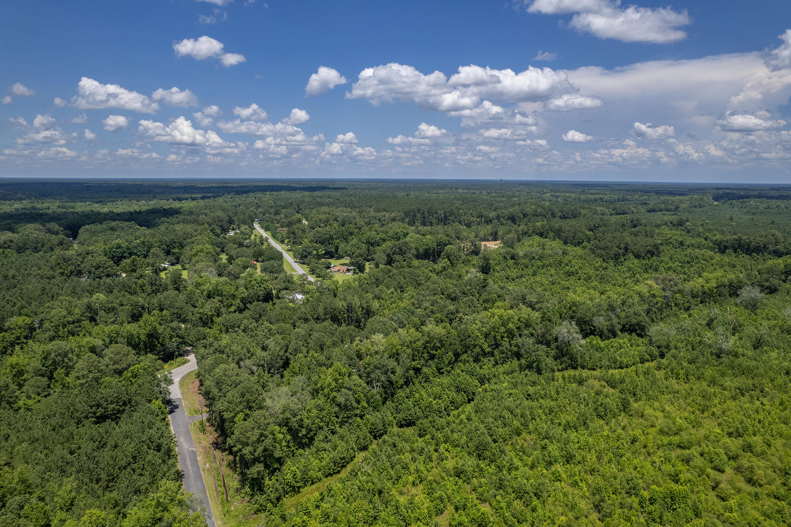 47 Burr Hill Road Cottageville, SC 29435 - Photo 17 of 38 Zyndicate1742