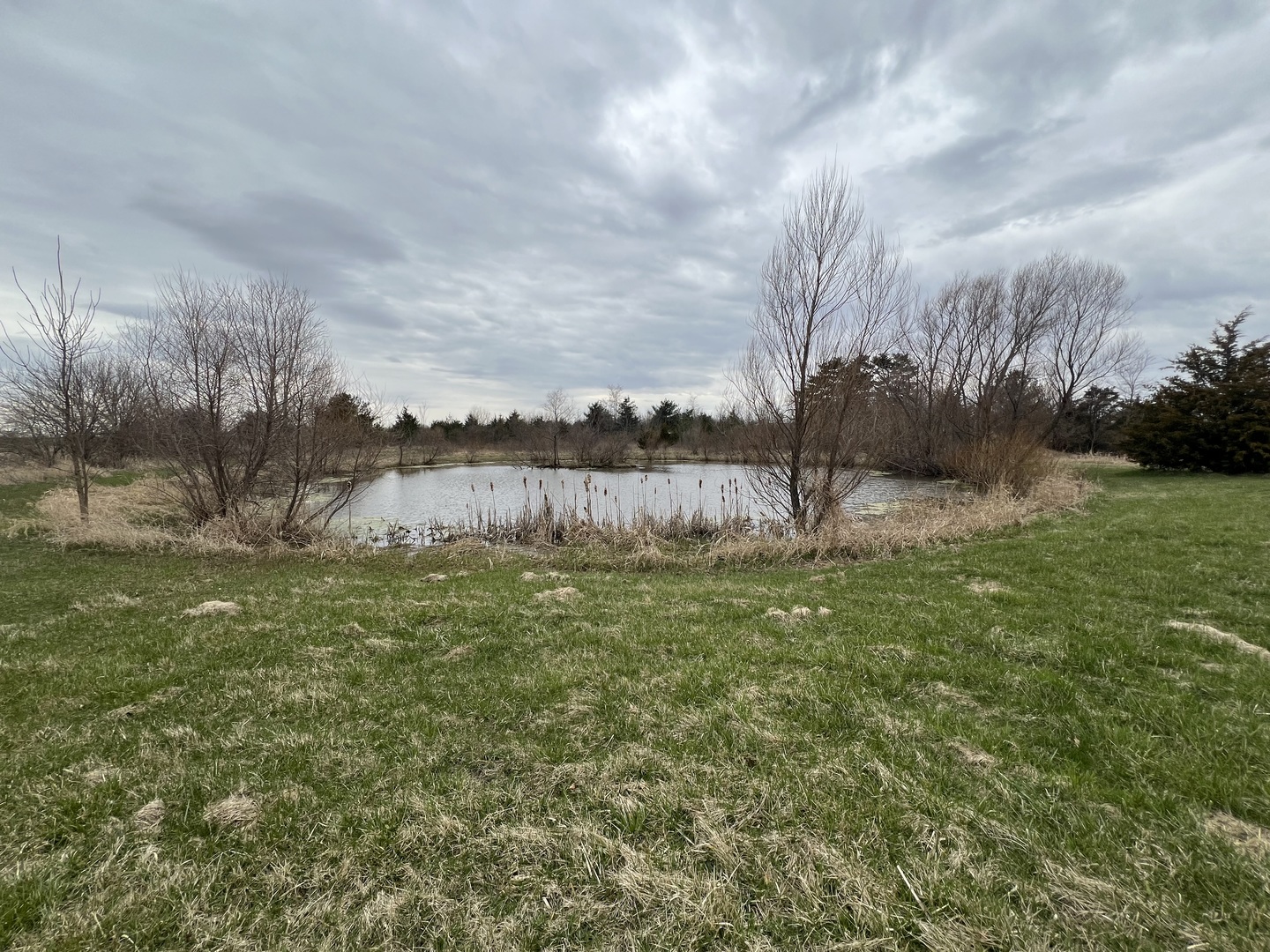 2957 East Kentucky Road Beecher, IL 60401 - Photo 22 of 22 a view of a lake with a big yard and large trees